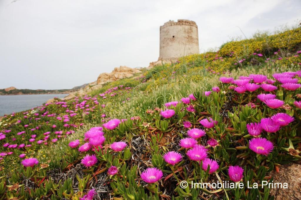 Appartamenti Ideal Isola Rossa Esterno foto