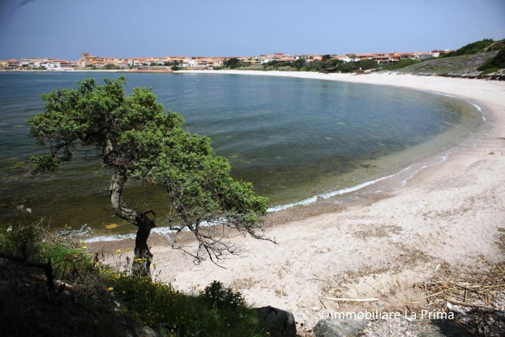 Appartamenti Ideal Isola Rossa Esterno foto